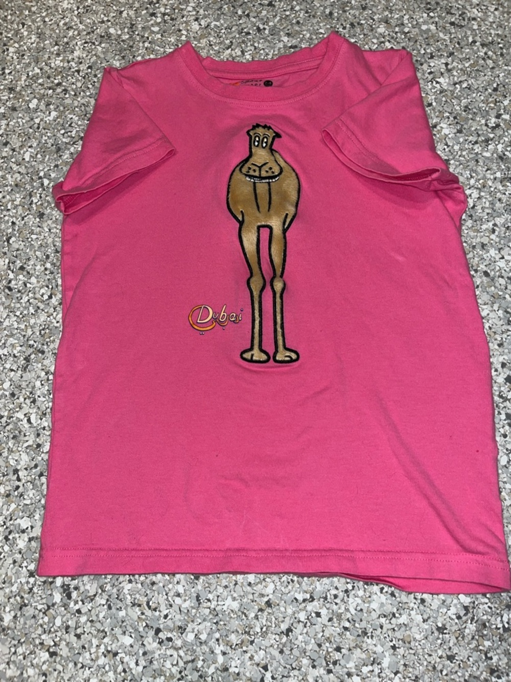 Kids Short Sleeve Pink Tee with Camel Graphic